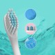 IP65 Waterproof Sonic Rechargeable Electric Toothbrush 4 Replacement Soft Oral Brush Heads IP65 Waterproof Sonic Rechargeable Electric Toothbrush 4 Replacement Soft Oral Brush Heads