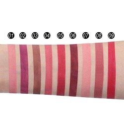 Matte Lip Gloss Lipstick Velvet Lip Glaze Non-Stick Cup Waterproof Lipstick Lip Makeup