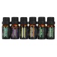 RHJY 6Pcs/Set 10ml Pure Natural Aromatherapy Essential Oils Therapeutic Plant RHJY 6Pcs/Set 10ml Pure Natural Aromatherapy Essential Oils Therapeutic Plant