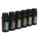 RHJY 6Pcs/Set 10ml Pure Natural Aromatherapy Essential Oils Therapeutic Plant RHJY 6Pcs/Set 10ml Pure Natural Aromatherapy Essential Oils Therapeutic Plant