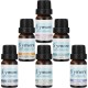 Skymore Therapeutic Grade Essential Oil Set for Aroma Diffuser Relief Skymore Therapeutic Grade Essential Oil Set for Aroma Diffuser Relief