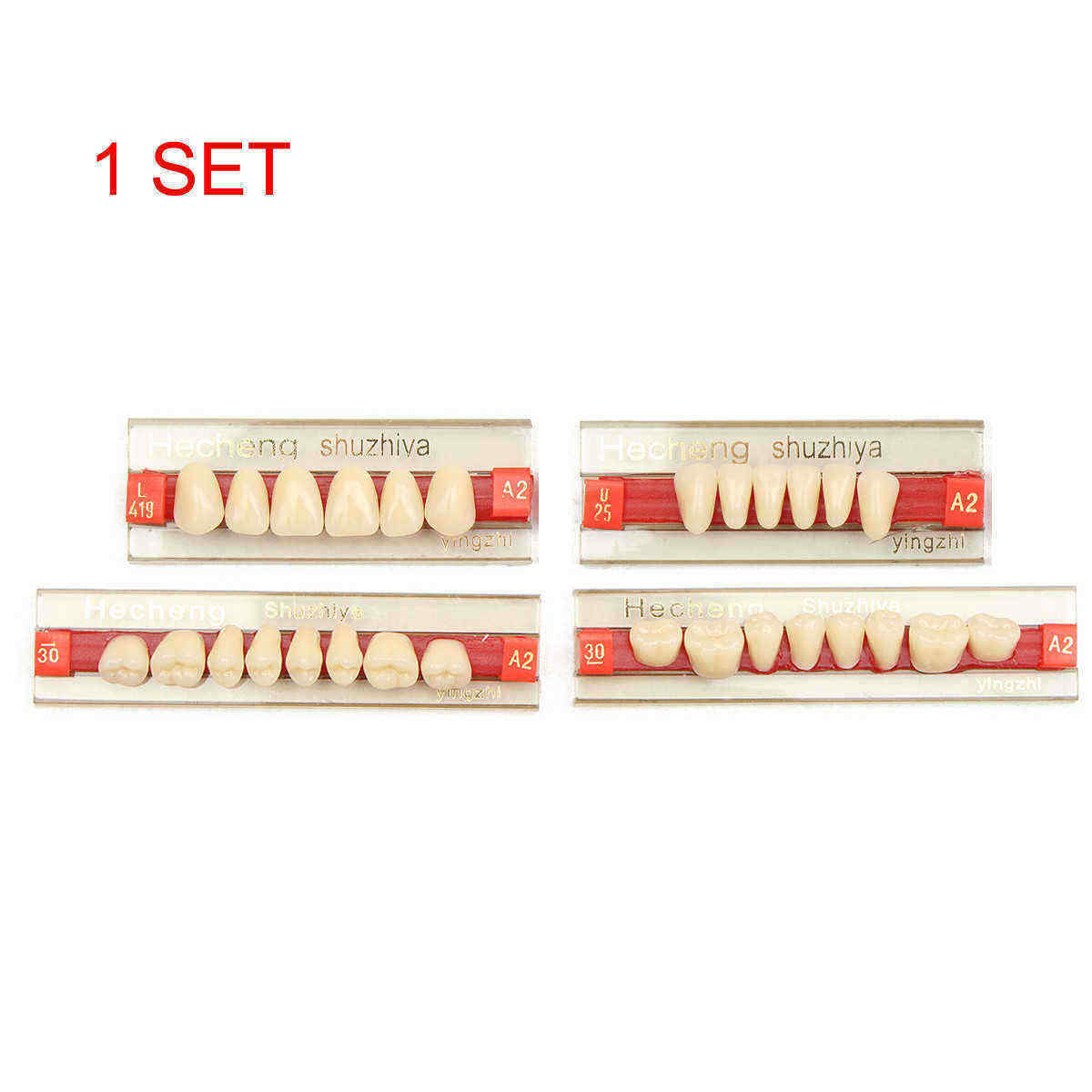 3-Set-841-A2-Color-Denture-Dental-Acrylic-Resin-Teeth-Upper--Lower-Shade-1117166