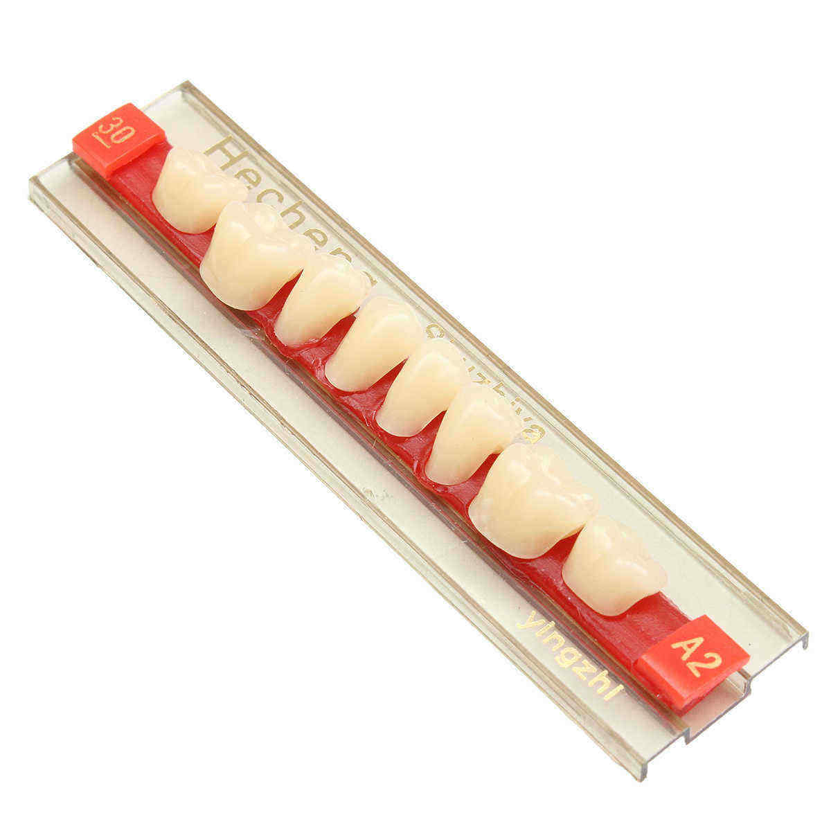 3-Set-841-A2-Color-Denture-Dental-Acrylic-Resin-Teeth-Upper--Lower-Shade-1117166