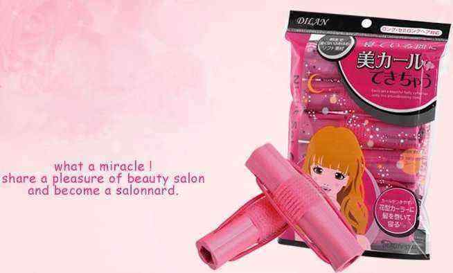 6-Pcs-DILAN-Sponge-Hair-Curler-Roller-Stick-Flower-Shape-938427
