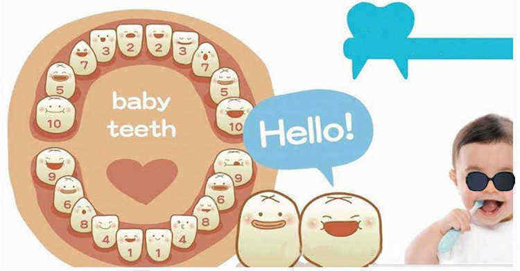 Baby-Mike-Teeth-Organizer-Save-Storage-Box-Keepsake-for-Kids-Gift-1116527