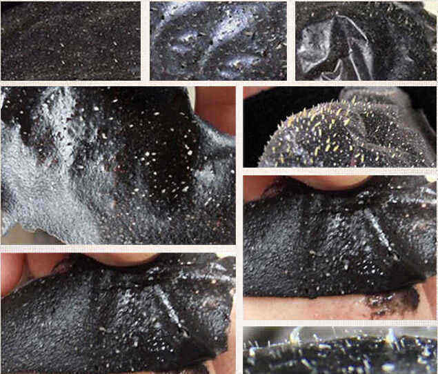 Blackhead-Mask-Purifying-Deep-Cleansing-Peel-Off-Facial-Skin-Care-50ml-Pores-Cleaner-1132323