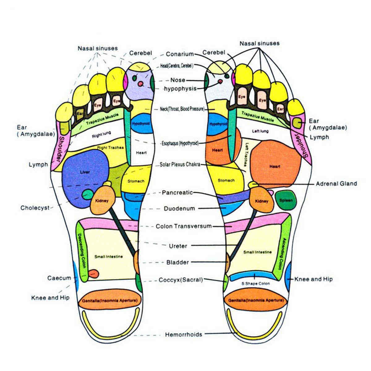 Digital-Foot-Spa-Bath-Electric-Massager-Therapy-Motorized-Rolling-Heat-Automatic-Rollers-1388034