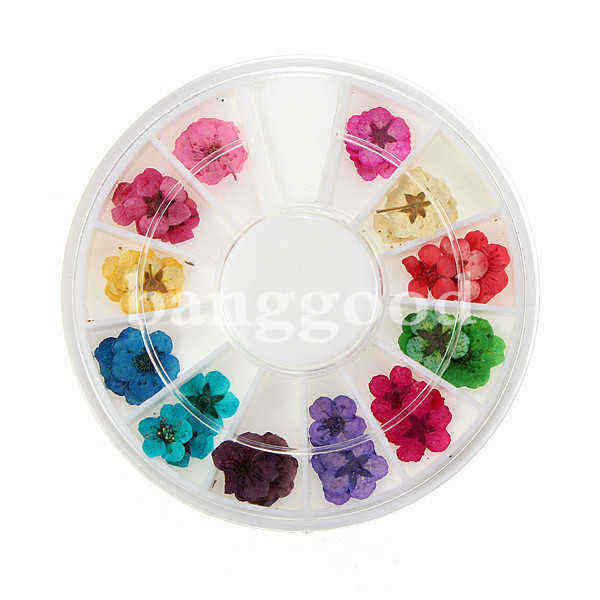 Dry-Flower-Acrylic-UV-Gel-Nail-Art-Decoration-Wheel-DIY-47362