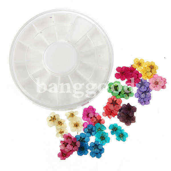 Dry-Flower-Acrylic-UV-Gel-Nail-Art-Decoration-Wheel-DIY-47362
