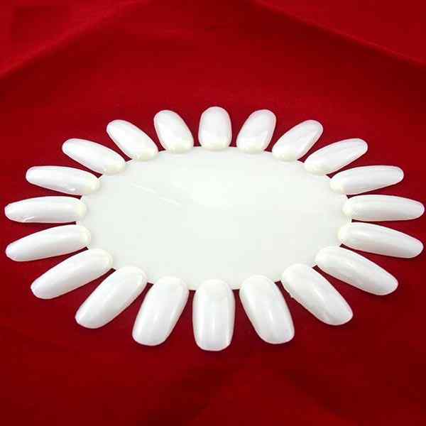 Nail-Art-False-Fake-Tips-Display-Practice-Tool-Wheel-24369