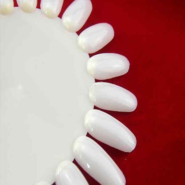 Nail-Art-False-Fake-Tips-Display-Practice-Tool-Wheel-24369