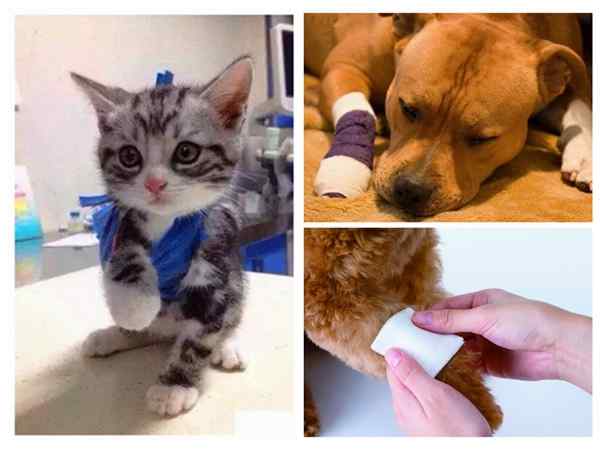 Non-woven-Adhesive-Elastic-Supporting-Finger-Arm-Bandage-Tapes-989028