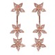 925 Sterling Silver Flower Earrings Dazzling Zirconia Rose Gold Ear Drop for Women