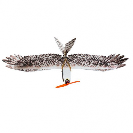 Dancing Wings Hobby DW Eagle EPP Mini Slow Flyer 1200mm Wingspan RC Airplane KIT