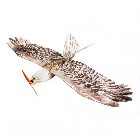 Dancing Wings Hobby DW Eagle EPP Mini Slow Flyer 1200mm Wingspan RC Airplane KIT