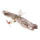 Dancing Wings Hobby DW Eagle EPP Mini Slow Flyer 1200mm Wingspan RC Airplane KIT