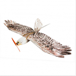 Dancing Wings Hobby DW Eagle EPP Mini Slow Flyer 1200mm Wingspan RC Airplane KIT