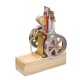 Eachine ETX Hit & Miss Gas Vertical Engine Stirling Engine Model Upgraded Version Water Cooling Cycle Engine Collection