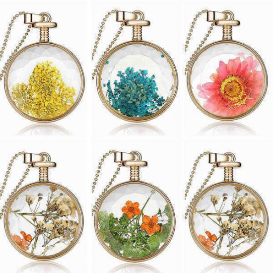 Round Glass Dry Flower Necklace Chain Women Alloy Jewelry