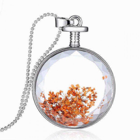 Round Glass Dry Flower Women Necklace Alloy Jewelry Christmas Gift