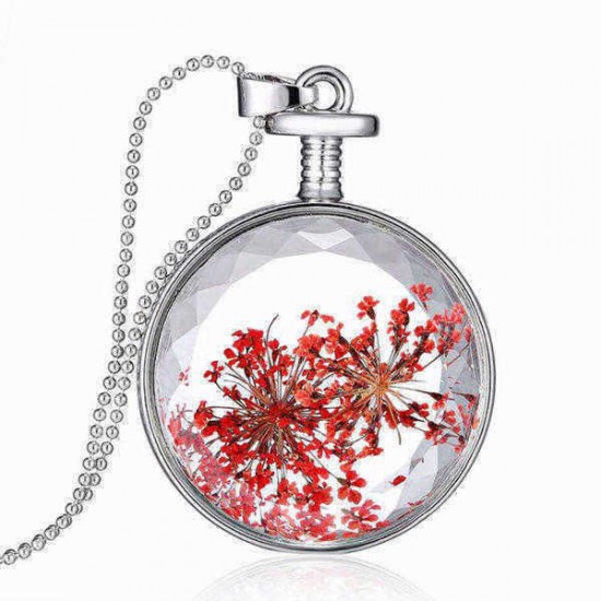 Round Glass Dry Flower Women Necklace Alloy Jewelry Christmas Gift