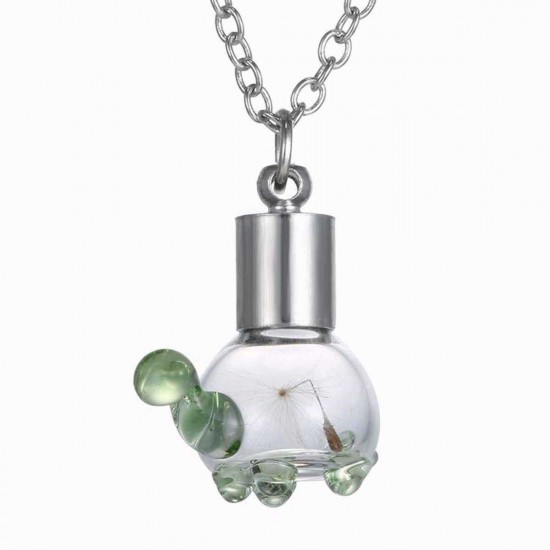 Seeds In Glass Wish Bottle Chain Necklace