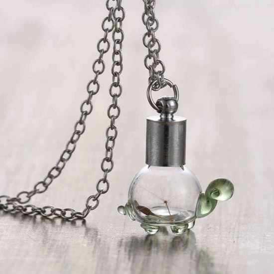 Seeds In Glass Wish Bottle Chain Necklace