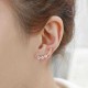 Trendy 925 Silver Needle Star Inlay Zircon Crystal Stud Earrings Jewelry for Women