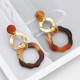 Trendy Alloy Earrings Dangle Geometry Acrylic Reputation Vintage Jewelry for Women